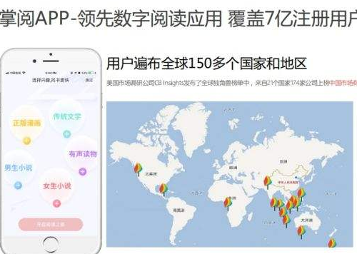 上海掌阅代理商：掌阅平台推广二类电商效果好吗？(图2)